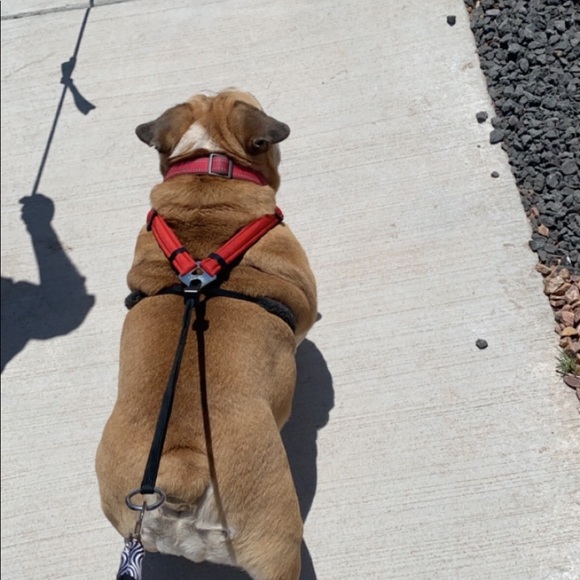 Profile Picture of Julianna Candelaria (@jujujaec) on Poshmark