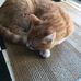 Profile Picture of Nancy Dunivan (@nancy.dunivan.71) on Facebook