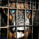 Profile Picture of Caleb Shepard (@caleb.shepard2) on Instagram