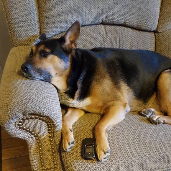 Jaci Long - Poshmark Profile Picture of Jaci Long (@jacilong) on Poshmark