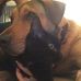 Profile Picture of Jimmy Clementine Criddle (@Jimmy-Clementine-Criddle) on Facebook
