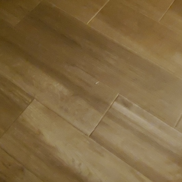 Profile Picture of Lisa Evancho (@indigogirl313) on Poshmark