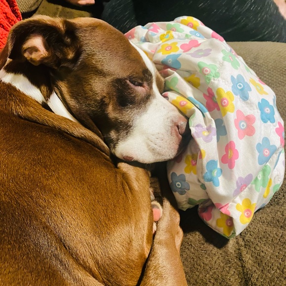 Profile Picture of Chris Puryear (@chris_puryear) on Poshmark