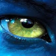 José Luis Bedón - Twitter Profile Picture of José Luis Bedón (@ecopolcom) on Twitter