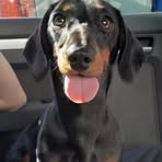 Profile Picture of Timothy McWhinney (@Timothy-McWhinney) on Facebook