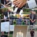 Profile Picture of Jason Lofthouse (@leafhouse7678) on Pinterest