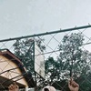 Profile Picture of Darell Ramos (@@darellramos5) on Tiktok