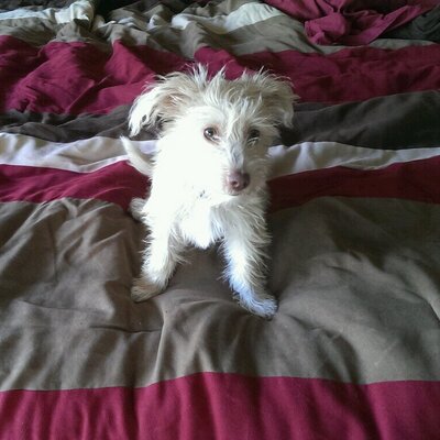 Profile Picture of Jeff McNeely (@Thwaps) on Twitter