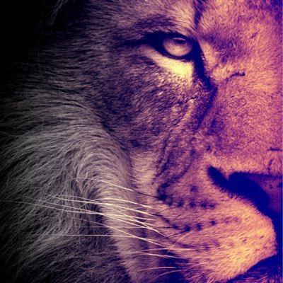 Profile Picture of Benny Perez (@bennyperez9000) on Twitter