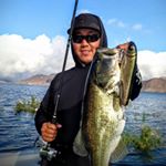 David Yang - Instagram Profile Picture of David Yang (@daveyang1984) on Instagram