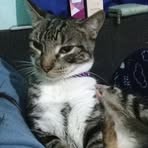 Profile Picture of Sofia Pastore (@sofia.pastore.2025) on Facebook