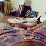 Jaime Spires - Instagram Profile Picture of Jaime Spires (@ombudonut) on Instagram