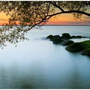 Profile Picture of Joseph Owens (@joetroutslayer) on Myspace