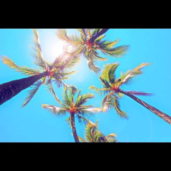 Profile Picture of Alexis Pompey (@lexx37) on Poshmark