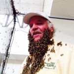 Profile Picture of Steve Conlon (@beesonmyface) on Instagram