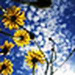 Profile Picture of Ryan Cameron (@big north) on Flickr