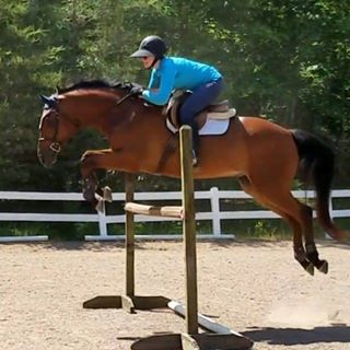 Profile Picture of Amanda Holloway (@amanda.holloway.545) on Facebook