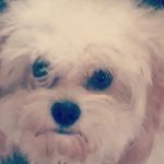 Profile Picture of kaedon ray sees (@kaedonraysees) on Instagram