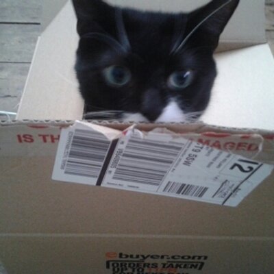 Profile Picture of Gary Blake ♡ Sherri (@GobbleCorp) on Twitter