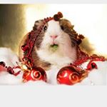 Profile Picture of Amelia Hunt (@ameliafaith08) on Instagram