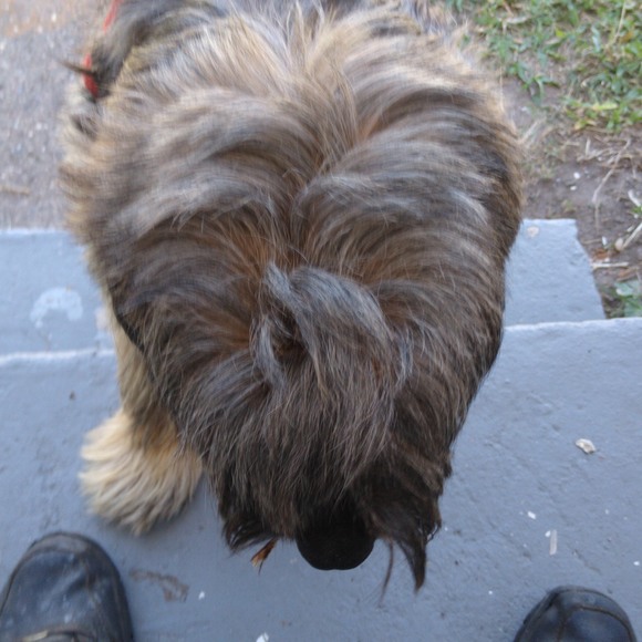 Profile Picture of Ladislao Pineda (@ladisgt) on Poshmark