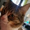 Profile Picture of kathy arsenault (@@kathyarsenault001) on Tiktok