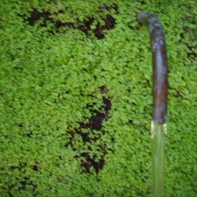 Profile Picture of Dora Wagner (@Physidora) on Twitter