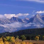 Profile Picture of BeverlyBryant (@beverlybryanth) on Instagram