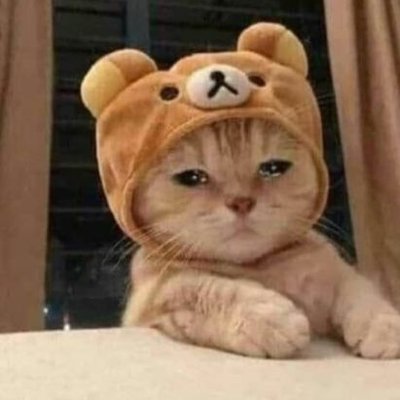 Profile Picture of Ahmed Shaban  ✨ (@AHHM5855) on Twitter