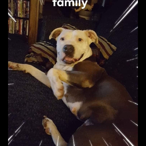 Profile Picture of Hunter Mathis (@huntermathis157) on Poshmark