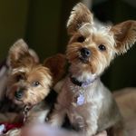 Profile Picture of Sharla Hanson (@skr912) on Instagram