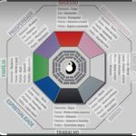 Profile Picture of Alessandra De Vecchi Arita Gaivota (@vecchialessandrade) on Instagram