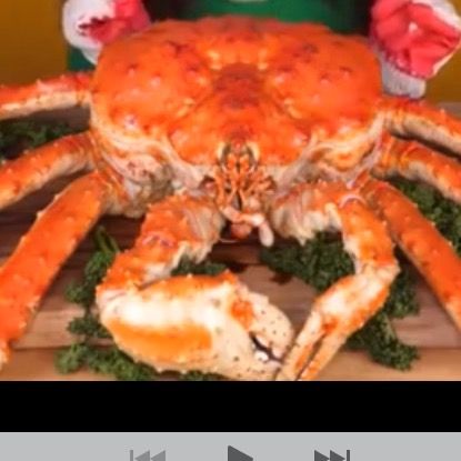 Profile Picture of Lindathezratz (@the.rat.thatlikesseafood) on Tiktok