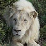 Profile Picture of Victor Patterson (@victor.patterson.725) on Instagram