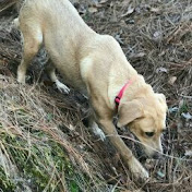 Profile Picture of Andrew Morgan (@andrewmorgan7277) on Youtube