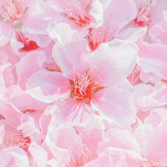 Avery Mccarthy - Poshmark Profile Picture of Avery Mccarthy (@averym3924) on Poshmark