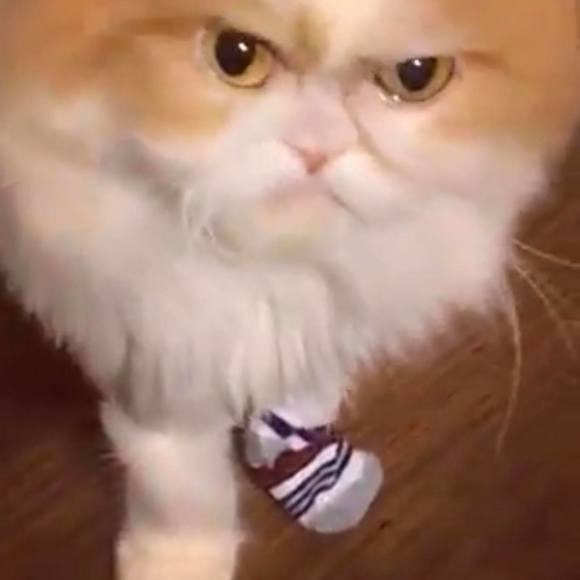 Profile Picture of Vanessa Moody-perez (@moodyvanessa30) on Poshmark