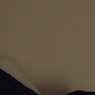 Profile Picture of Gloria Harrell (@GloriaH54073516) on Twitter