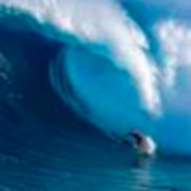 Profile Picture of Eric Rosenberg (@ericrosenberg3151) on Youtube