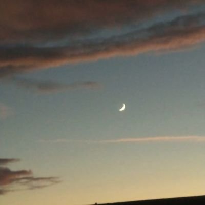 Profile Picture of Amanda Schenk (@AmaSchenk) on Twitter