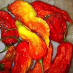 Profile Picture of Andrew Aiton (@fishandchips32) on Instagram