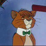 Profile Picture of Daniel Murphy IV (@tomomalleythealleycat) on Instagram