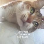 Profile Picture of Kathy Haught (@kathy.haught.921) on Instagram