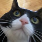 Profile Picture of 조민경 (@___min___k) on Instagram