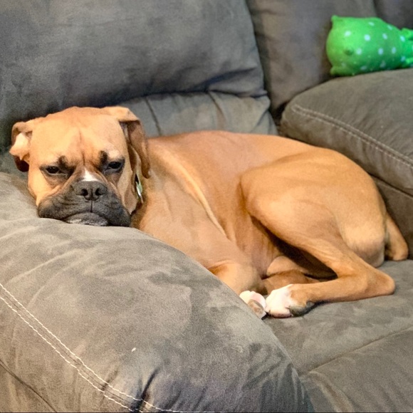 Profile Picture of Tess Warren (@tesswarren322) on Poshmark