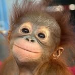 Profile Picture of Curry Indigo (@Curry-Indigo) on Facebook