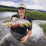 Profile Picture of Forrest Lee (@forrestlee_) on Instagram