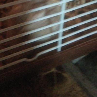 Profile Picture of Kevin Barto (@Kevinbarto1) on Twitter