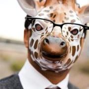 Profile Picture of Randy Thompson (@wonderand) on Pinterest