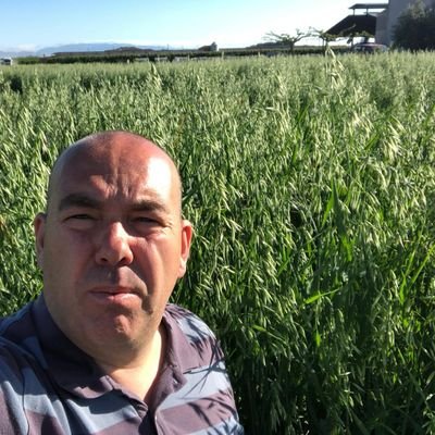Profile Picture of Marc Beltran (@marcbm75) on Twitter